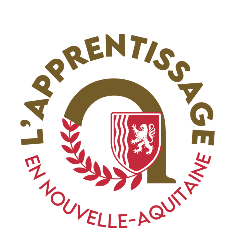 L'apprentissage en Nouvelle Aquitaine